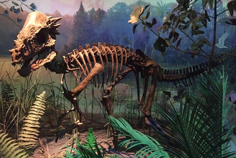 Raleigh's top 5 art galleries to visit now