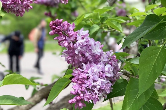 The 5 best parks in Boston