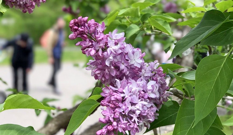 The 5 best parks in Boston