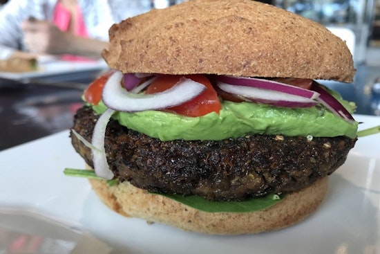 Check out the 3 top spots in Saint Petersburg's Pasadena Vista neighborhood