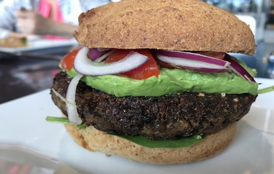 Check out the 3 top spots in Saint Petersburg's Pasadena Vista neighborhood
