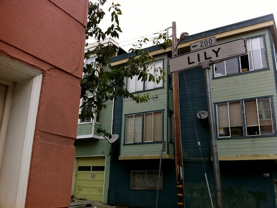 Putting the 'Alley' in Hayes Valley: Exploring The Lily Pad