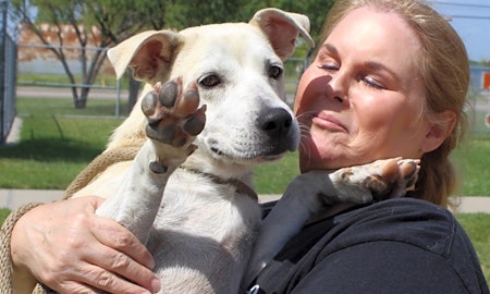 Looking to adopt a pet? Here are 4 cuddly canines to adopt now in Corpus Christi