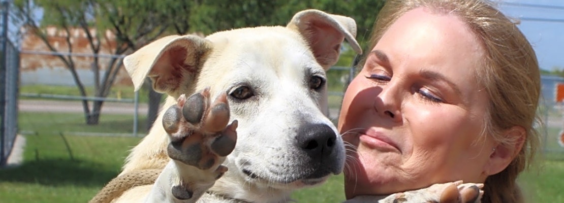 Looking to adopt a pet? Here are 4 cuddly canines to adopt now in Corpus Christi