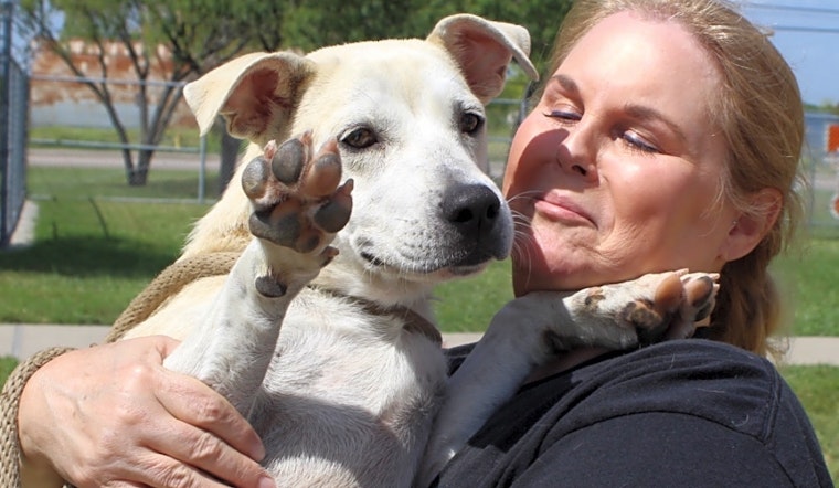Looking to adopt a pet? Here are 4 cuddly canines to adopt now in Corpus Christi