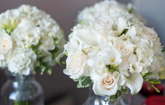 Cambridge's top 5 florists to visit now