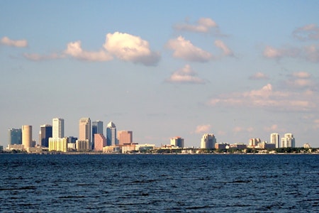Top Tampa news: Fraternity helps feed families in Tampa Bay; Rays keep pace in AL wild-card race