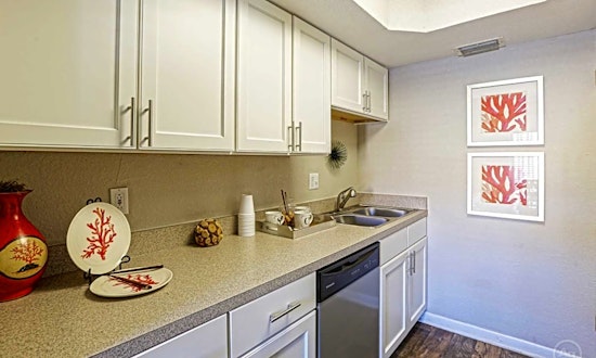 Apartments for rent in Saint Petersburg: What will $900 get you?