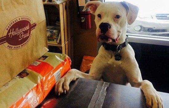 The 4 best pet stores in Memphis