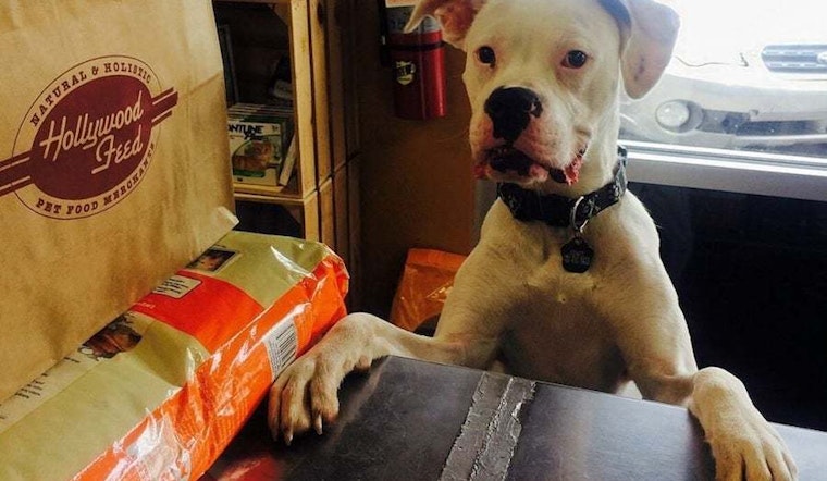 The 4 best pet stores in Memphis