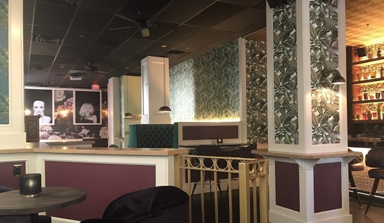 Explore the 3 newest businesses to launch in Boston