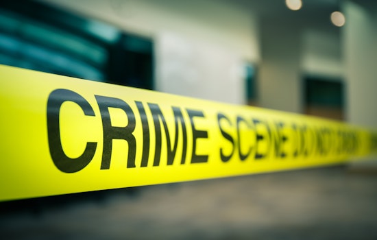 Crime dropping in Saint Petersburg: What's the latest in the trend?