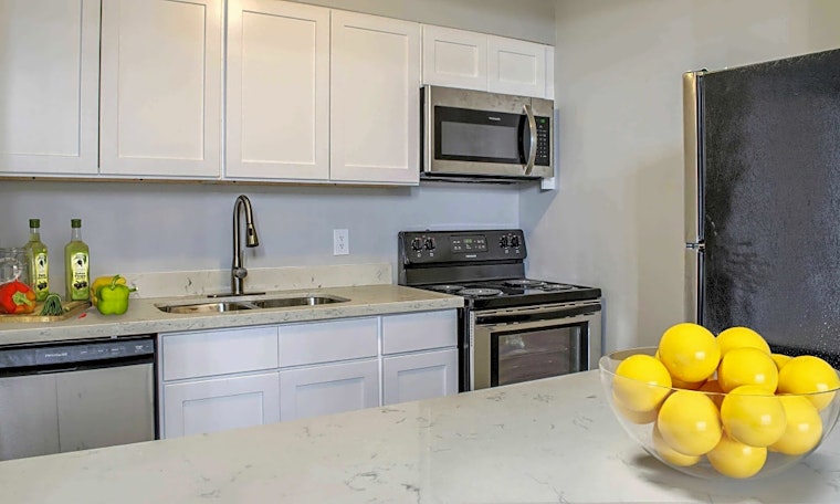Apartments for rent in New Orleans: What will $800 get you?