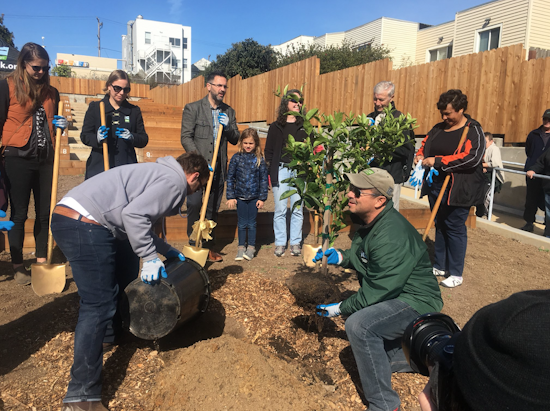 New Buds: Cayuga Terrace Edible Garden Debuts