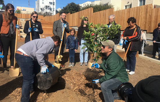 New Buds: Cayuga Terrace Edible Garden Debuts