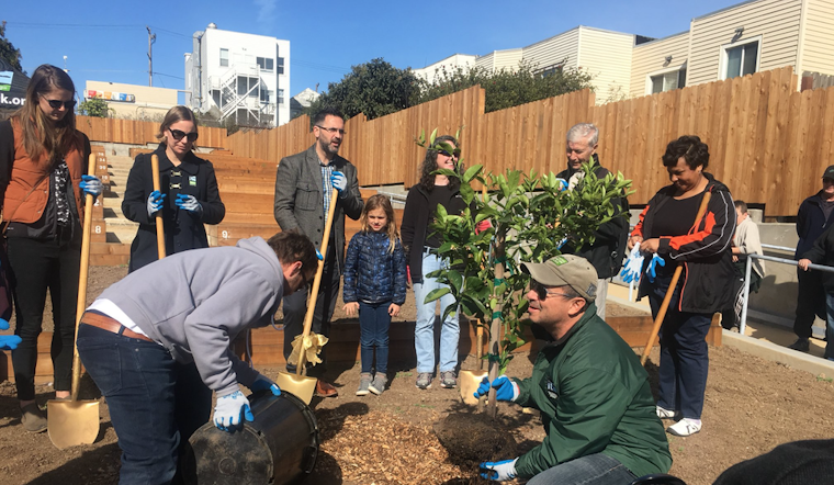New Buds: Cayuga Terrace Edible Garden Debuts