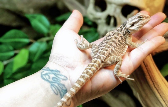 The 4 best pet stores in Stockton