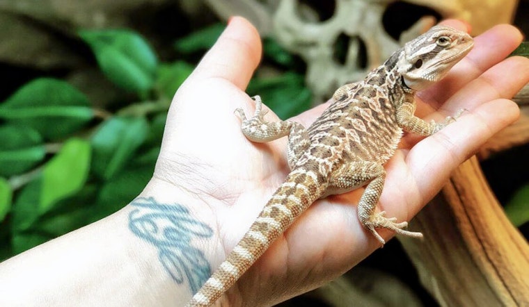 The 4 best pet stores in Stockton