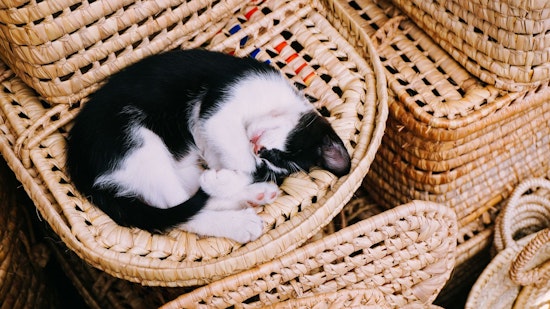 Your weather today in Cambridge