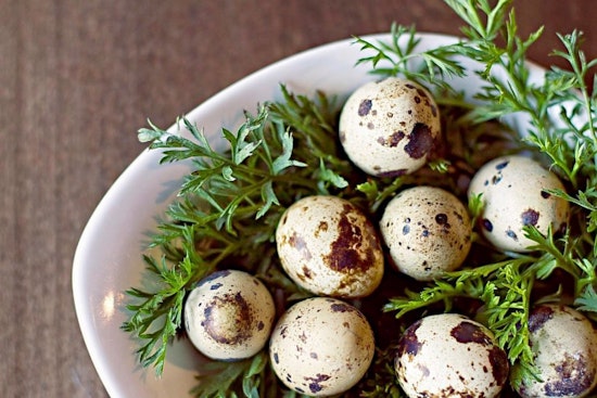 Here are Nashville's top 4 French spots