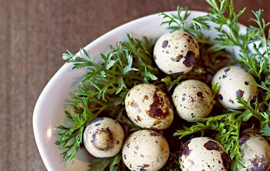 Here are Nashville's top 4 French spots