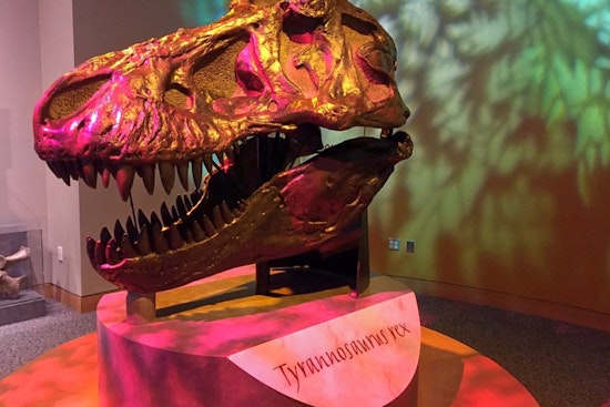 Raleigh's top 3 museums to visit now