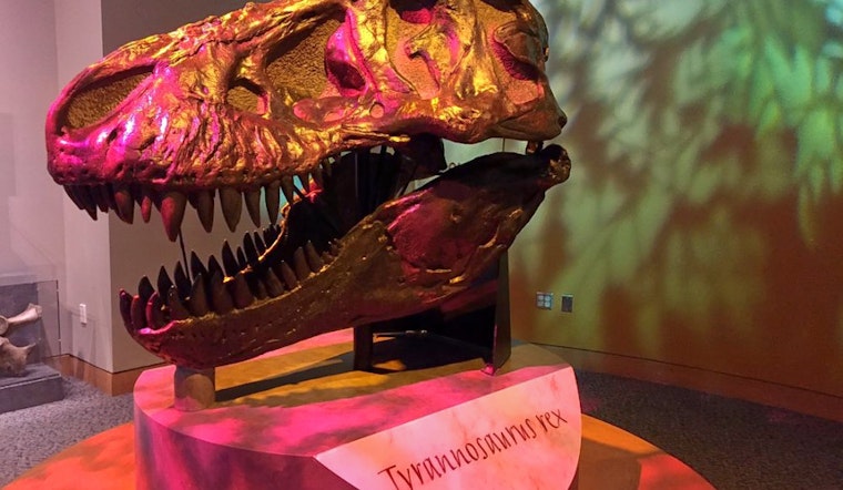 Raleigh's top 3 museums to visit now