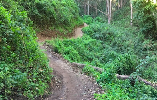 Forgotten trails behind Laguna Honda to formally re-open this weekend