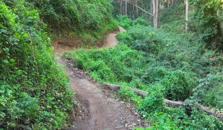 Forgotten trails behind Laguna Honda to formally re-open this weekend