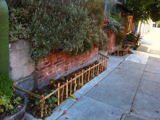 The Expanding Page Street Garden