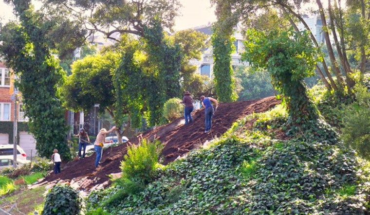 Volunteer Today at Hayes Valley Farm