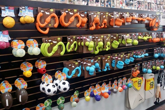 Las Vegas' top 5 pet stores to visit now