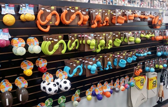 Las Vegas' top 5 pet stores to visit now