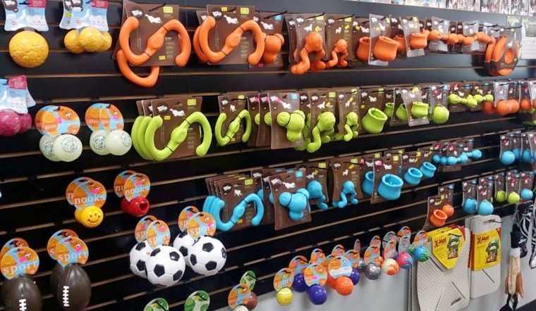 Las Vegas' top 5 pet stores to visit now