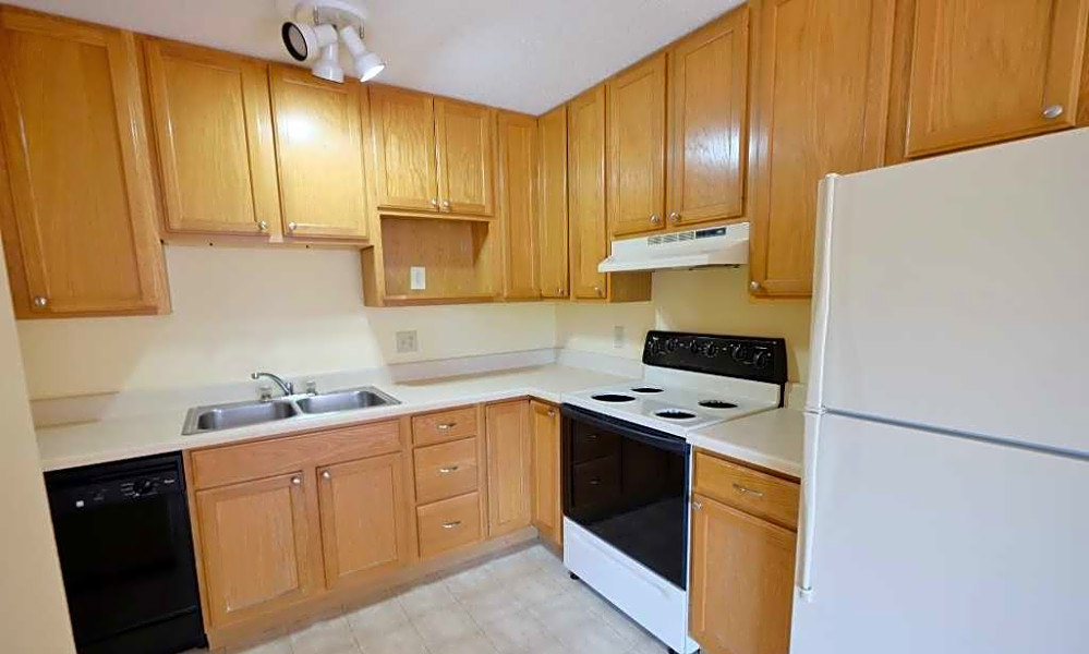 Apartments for rent in St. Paul What will 1,000 get you?