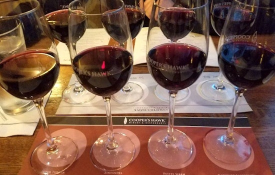 The 5 best wine bars in Tampa