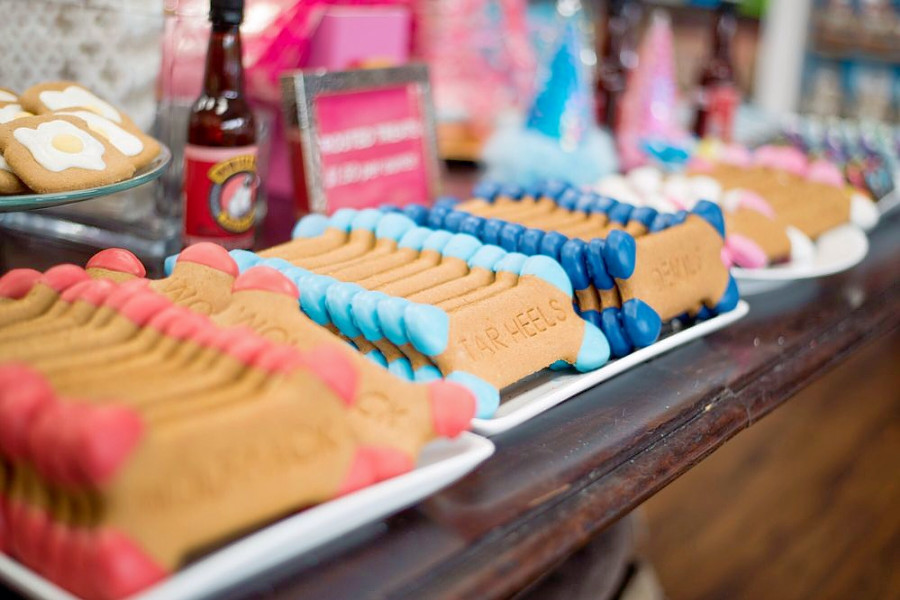 Raleigh's top 5 pet stores to visit now