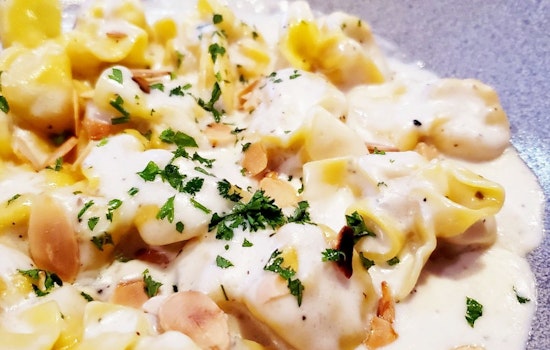 Here are the 3 newest businesses to open in Tampa