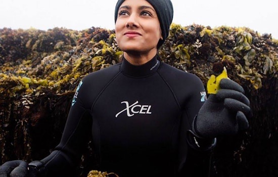 A New Leaf: Local Seaweed Skin Care Maker Revamps Packaging