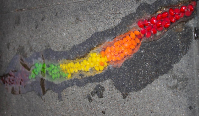 Tenderloin Artist Fills Potholes With Color, Memories