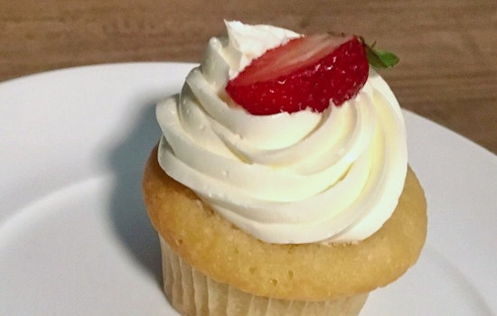 Get to know the 5 newest businesses to debut in Chicago