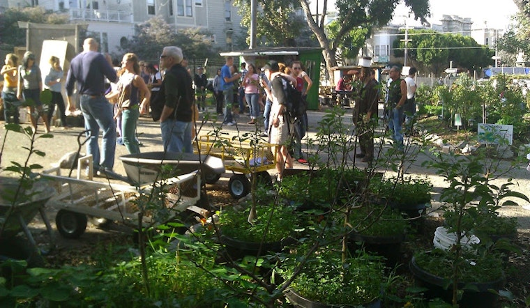Labor of Love Celebration at Hayes Valley Farm