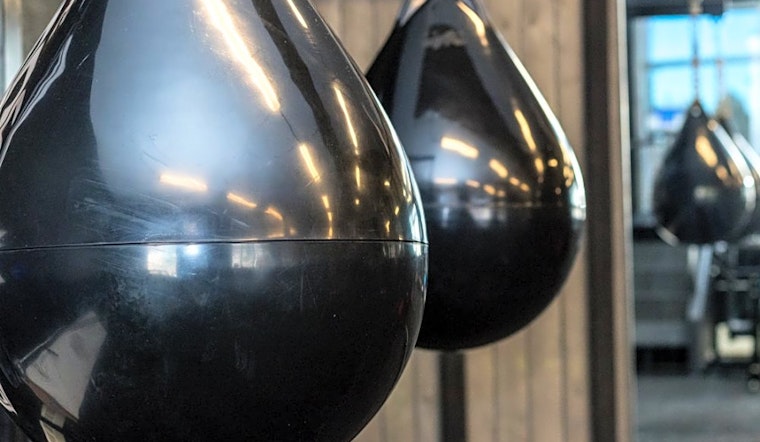 What's Denver's top boxing gym?