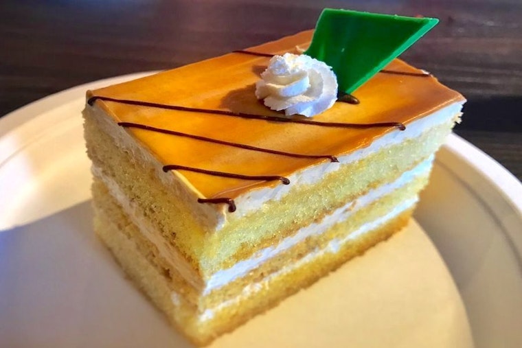 Your guide to the 4 top spots in Tampa's University Square neighborhood