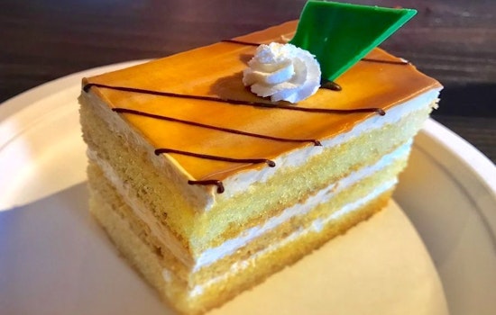 Your guide to the 4 top spots in Tampa's University Square neighborhood