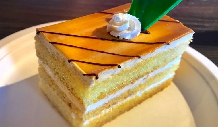 Your guide to the 4 top spots in Tampa's University Square neighborhood