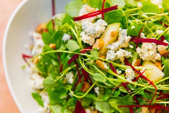 Cress makes Tampa Heights debut, with salads and more
