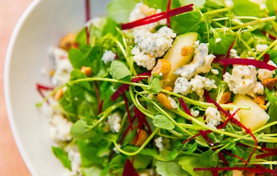 Cress makes Tampa Heights debut, with salads and more