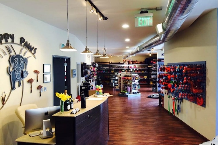 The 5 best pet stores in Milwaukee