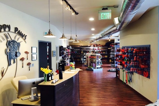 The 5 best pet stores in Milwaukee